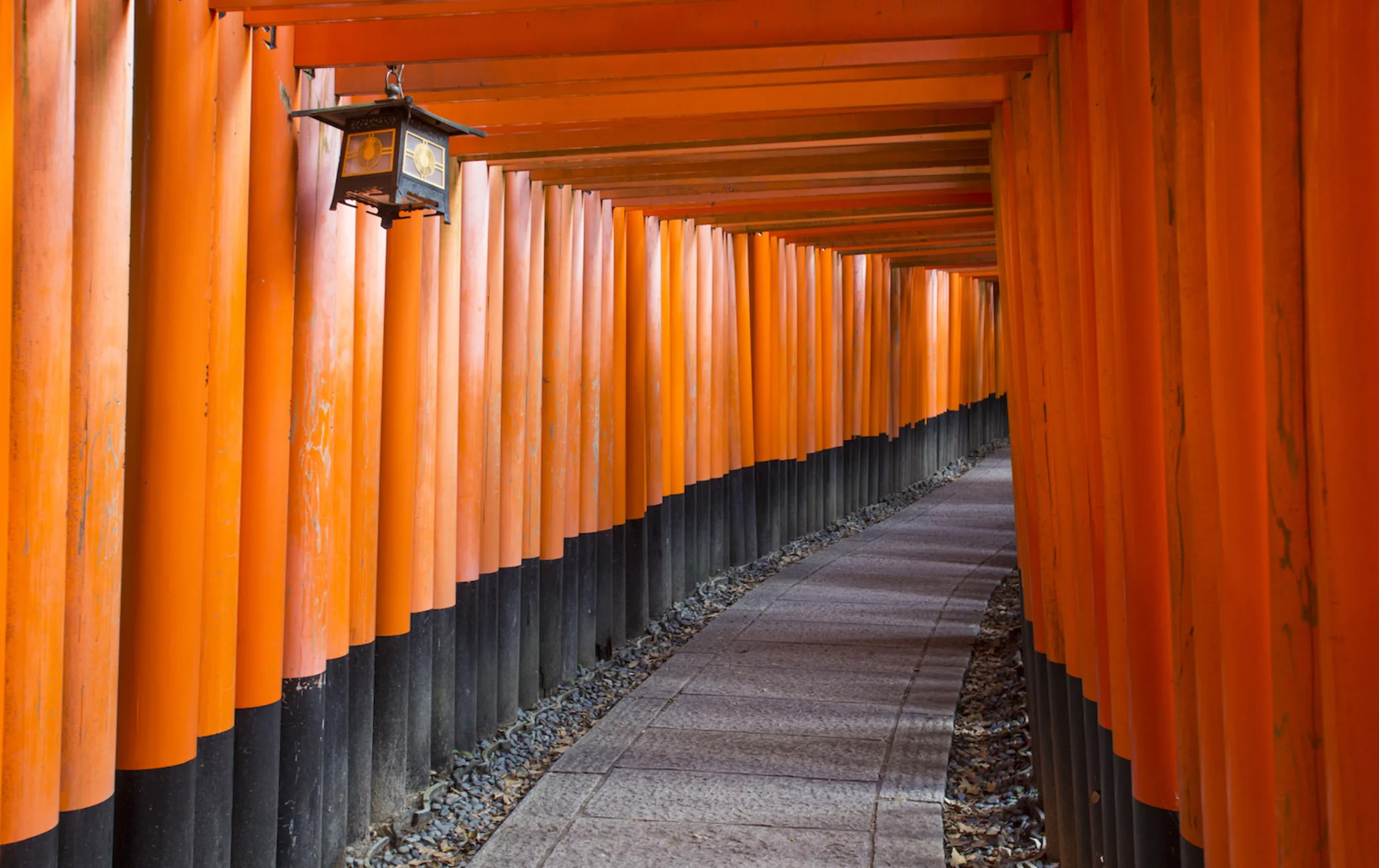 Japon 2027 — 11