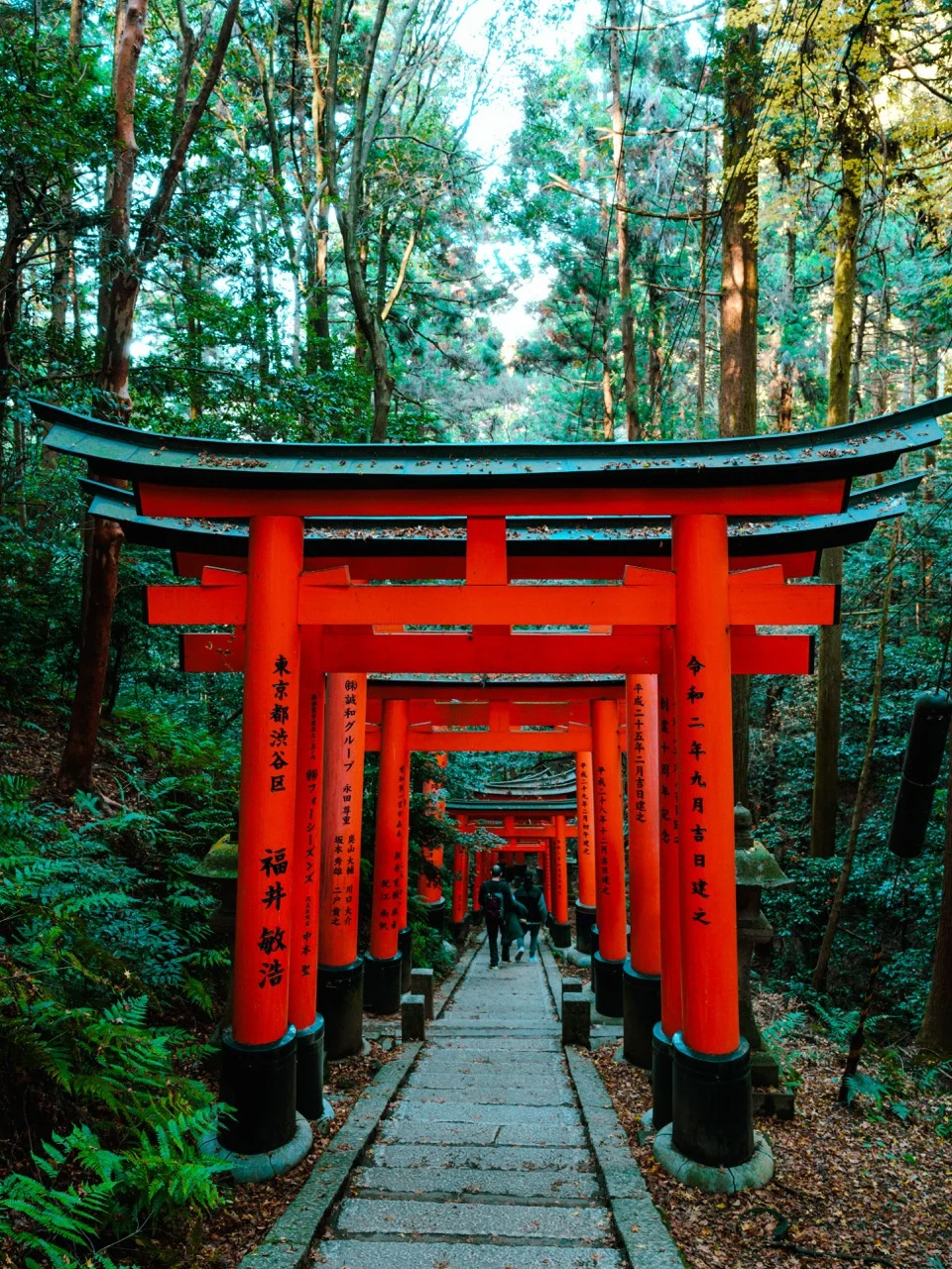 Japon 2027 — 12